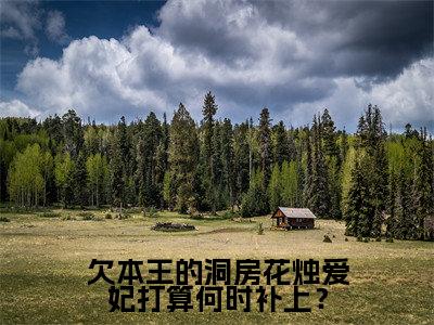 北冥轩苏悦小说-《欠本王的洞房花烛爱妃打算何时补上？》完整章节阅读无弹窗免费阅读大结局