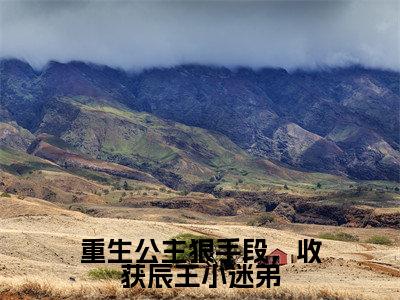 重生公主狠手段,收获辰王小迷弟(向平安苏时越)全文小说免费阅读_(向平安苏时越)重生公主狠手段,收获辰王小迷弟最新章节列表