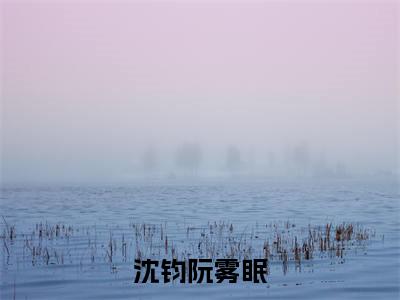 沈钧阮雾眠（阮雾眠沈钧）全文免费阅读_沈钧阮雾眠最新章节小说免费阅读_笔趣阁