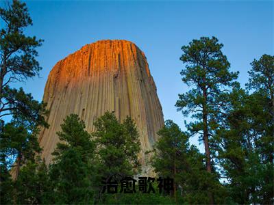 袁泽全文免费阅读大结局-治愈歌神最新章节阅读