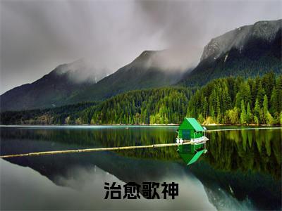 治愈歌神全文免费阅读大结局_治愈歌神全文免费阅读无弹窗_笔趣阁(袁泽)