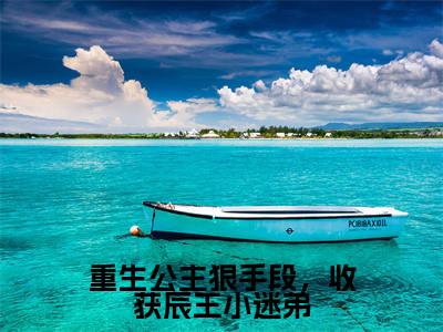重生公主狠手段,收获辰王小迷弟是什么小说_主角是(向平安苏时越)的小说(重生公主狠手段,收获辰王小迷弟)最新章节无弹窗阅读