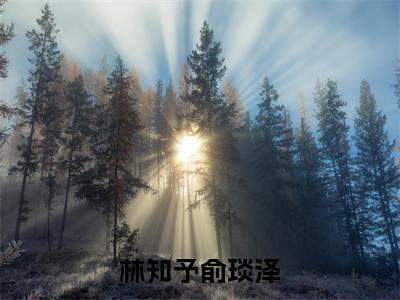 林知予俞琰泽小说(林知予俞琰泽)全文免费阅读_林知予俞琰泽最新章节列表笔趣阁(林知予俞琰泽)