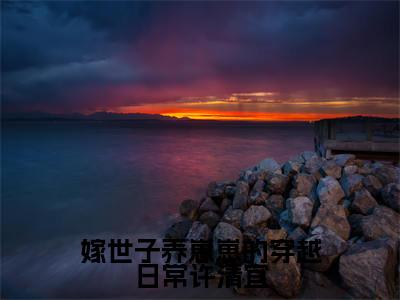 嫁世子养崽崽的穿越日常许清宜小说(谢韫之许清宜)全文免费阅读无弹窗大结局_(嫁世子养崽崽的穿越日常许清宜)谢韫之许清宜小说免费阅读最新章节列表