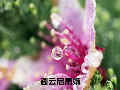 阎云启萧姝（萧姝阎云启）全文免费阅读大结局_萧姝阎云启免费在线阅读无删减