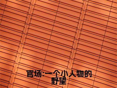 杜玉峰阮玉玲免费阅读无弹窗大结局,官场:一个小人物的野望最新章节