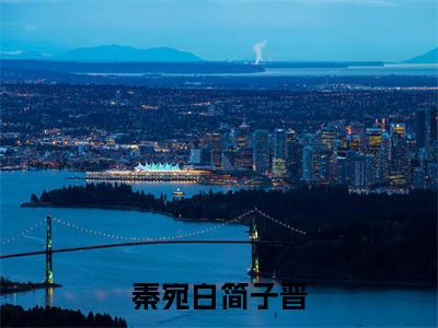 秦宛白简子晋（简子晋秦宛白）全文免费阅读无弹窗大结局_（简子晋秦宛白）小说免费阅读无弹窗最新章节列表