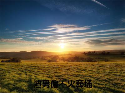 顾元嘉渣男偏不火葬场小说全文免费阅读_顾元嘉（渣男偏不火葬场）最新章节列表笔趣阁