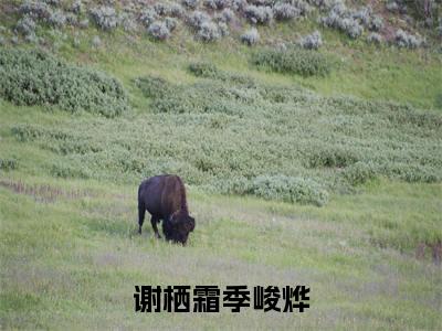 谢栖霜季峻烨珍藏美文读物谢栖霜季峻烨-谢栖霜季峻烨已完结全集大结局小说谢栖霜季峻烨