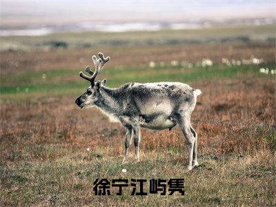 后续+免费徐宁江屿隽（江屿隽徐宁）全文小说在线阅读-徐宁江屿隽全章节最新阅读