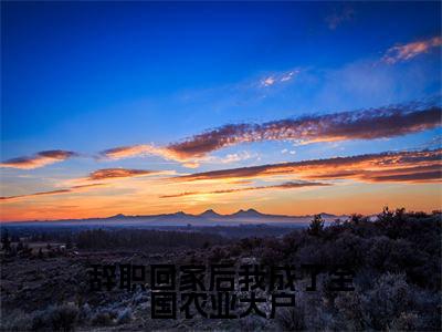 杨甜周正简（完整版）热文小说阅读-杨甜周正简全文抖音热推