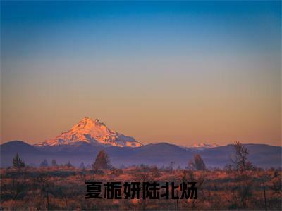 夏栀妍陆北炀（夏栀妍陆北炀）全文免费阅读无弹窗大结局_夏栀妍陆北炀最新章节列表_笔趣阁（夏栀妍陆北炀）