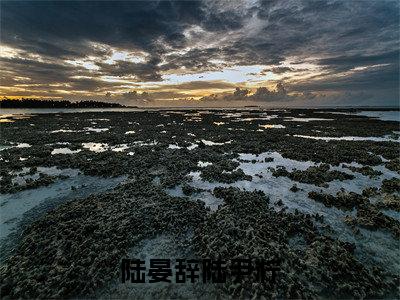陆晏辞陆尹柠陆尹柠陆晏辞精彩章节在线阅读-陆尹柠陆晏辞美文欣赏