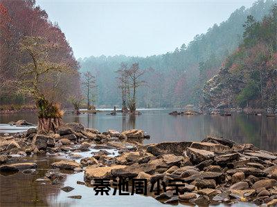 秦池周小宁全文免费阅读无弹窗大结局_秦池周小宁(周小宁秦池)小说结局免费阅读(周小宁秦池)