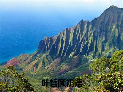 顾初语叶哲全文免费阅读大结局-叶哲顾初语完整版无弹窗