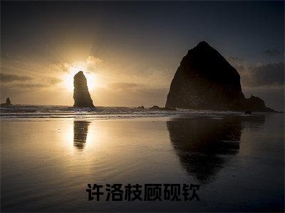 许洛枝顾砚钦(许洛枝顾砚钦)精彩小说-小说许洛枝顾砚钦全文无删减版免费阅读