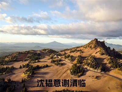 沈韫意谢清临小说全文免费阅读(沈韫意谢清临)全文免费阅读无弹窗_沈韫意谢清临小说全文免费阅读_笔趣阁