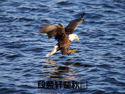 段荣轩楚秋玥免费阅读(楚秋玥段荣轩)完整版全文全章节阅读