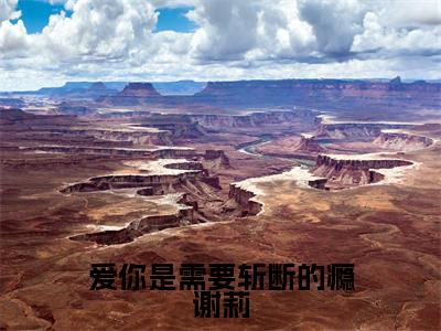 爱你是需要斩断的瘾谢莉(谢莉)小说全文免费阅读-谢莉小说最新章节完整版
