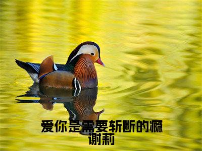 爱你是需要斩断的瘾谢莉(谢莉大结局小说全集完整版)_(谢莉小说)爱你是需要斩断的瘾谢莉全文阅读笔趣阁