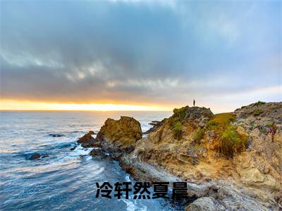 冷轩然夏晨夏晨冷轩然小说-冷轩然夏晨小说免费阅读