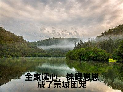 全家读心,锦鲤崽崽成了京城团宠热门推荐小说(鱼卷卷)精彩章节阅读-全家读心,锦鲤崽崽成了京城团宠全文免费在线阅读_笔趣阁