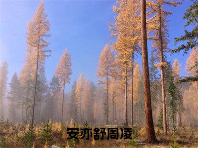 小说《安亦舒周凌》全文免费阅读无弹窗-安亦舒周凌小说全文在线赏析