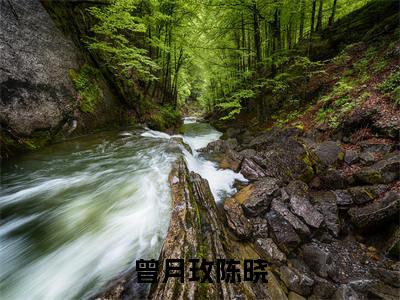 曾月玫陈晓（曾月玫陈晓）全集免费阅读无弹窗_曾月玫陈晓正版小说免费阅读