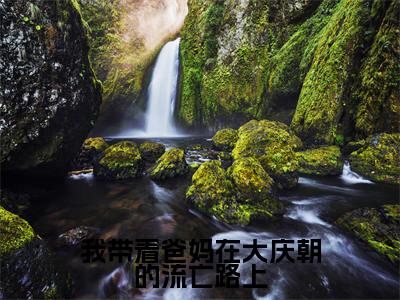 容若愚是我带着爸妈在大庆朝的流亡路上的小说_主角是容若愚免费阅读_容若愚小说免费阅读-笔趣阁