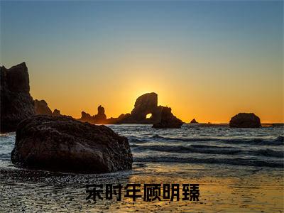 宋时年顾明臻小说全文(宋时年顾明臻)在线阅读-宋时年顾明臻全文免费阅读无弹窗大结局