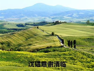 沈韫意谢清临全文免费(沈韫意谢清临)全文免费阅读无弹窗大结局_(沈韫意谢清临全文免费沈韫意谢清临)