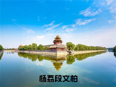 杨荔段文柏小说全文免费阅读杨荔段文柏免费完整版阅读