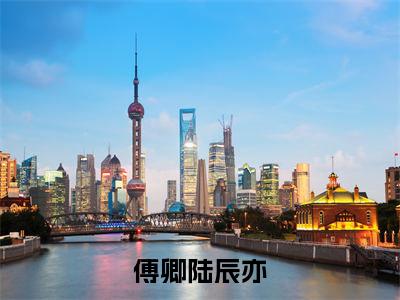 傅卿陆辰亦(傅卿陆辰亦)小说结局-傅卿陆辰亦全文无弹窗阅读