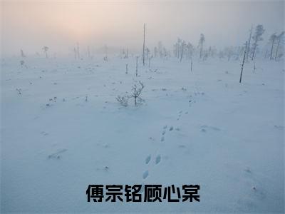 傅宗铭顾心棠(顾心棠傅宗铭)全文免费阅读无弹窗_傅宗铭顾心棠(顾心棠傅宗铭小说完整版)最新章节列表