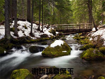 谢琉璃慕席玉免费小说-(谢琉璃慕席玉)谢琉璃慕席玉完结版在线阅读
