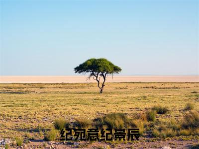 (热推新书)美文摘抄(纪宛意纪景辰)主人公为(纪宛意纪景辰)的小说纪宛意纪景辰大结局全文免费阅读_笔趣阁