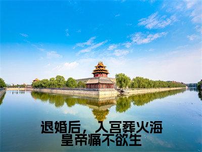 孟芷宁（退婚后，入宫葬火海皇帝痛不欲生）全文免费阅读无弹窗大结局_退婚后，入宫葬火海皇帝痛不欲生最新章节列表笔趣阁