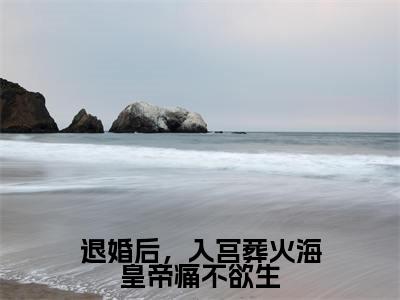 退婚后,入宫葬火海皇帝痛不欲生老书虫书荒推荐热点小说-退婚后,入宫葬火海皇帝痛不欲生孟芷宁全文免费阅读