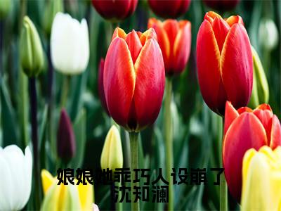 娘娘她乖巧人设崩了沈知澜最新章节(沈知澜)全文免费阅读无弹窗大结局_沈知澜免费阅读