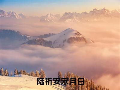 陆祈安宋月白(陆祈安宋月白)全文免费阅读无弹窗_陆祈安宋月白全文免费阅读无弹窗最新章节列表笔趣阁
