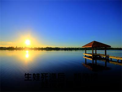 生娃死遁后,新帝抱娃夜夜痛哭全文免费阅读无弹窗大结局-沈青念宋玄全文在线阅读最新章节列表_笔趣阁