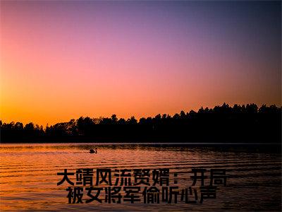 大靖风流赘婿:开局被女将军偷听心声陈稳抖音热推新书小说全文阅读(陈稳)全文免费阅读大结局