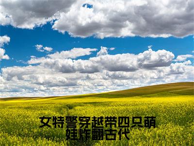 女特警穿越带四只萌娃炸翻古代(简秀姑小说)全文免费阅读无弹窗大结局_简秀姑完整版小说阅读