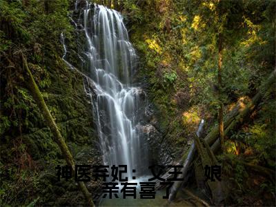 神医弃妃：父王，娘亲有喜了抖音热推小说全集无删减沈青鸾凤璃宸最新章节列表免费阅读_（神医弃妃：父王，娘亲有喜了）最新章节列表笔趣阁