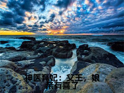 风璃宸沈青鸾是什么小说-小说神医弃妃:父王,娘亲有喜了全文阅读