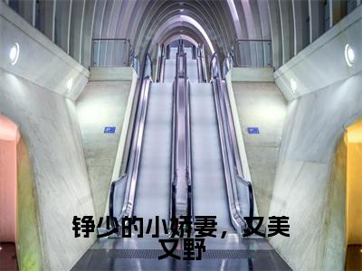 铮少的小娇妻,又美又野小说(时铮褚欢)全文免费阅读无弹窗大结局_时铮褚欢小说免费阅读无弹窗最新章节列表