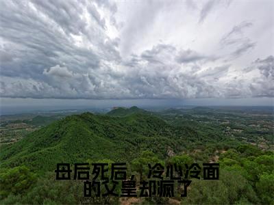 陆安然慕辞母后死后,冷心冷面的父皇却疯了小说全文无广告阅读-陆安然慕辞小说赏析母后死后,冷心冷面的父皇却疯了