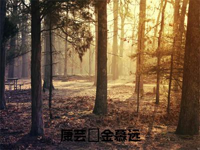 主角为金慕远康芸灀的小说-康芸灀金慕远(金慕远康芸灀)全文最新完整版阅读