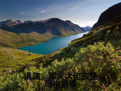 人气小说诱吻，军火大佬的猫咪小娇妻在线阅读-正版小说《诱吻，军火大佬的猫咪小娇妻》许诺诺牧宁池全文阅读