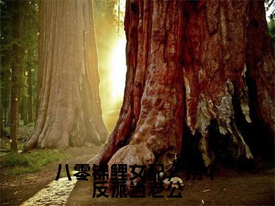 顾璟洲林绵绵热门小说在线阅读八零锦鲤女配,拐个反派当老公全网推荐(顾璟洲林绵绵)全文